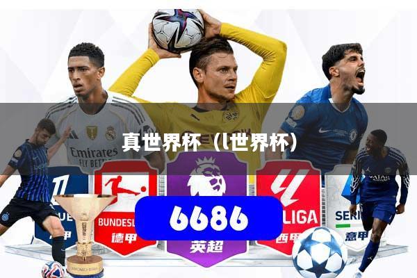 真世界杯（l世界杯）